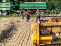 Rye harvest 40