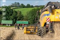 Roggen Ernte 39