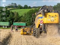 Rye harvest 38