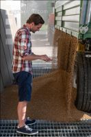 Deliver wheat 102