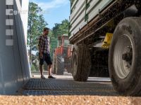 Deliver wheat 97