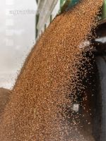 Deliver wheat 94