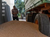 Deliver wheat 93