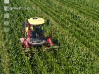 Kinder in der Landwirtschaft 20