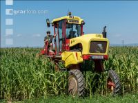 Kinder in der Landwirtschaft 15