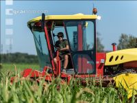 Kinder in der Landwirtschaft 13