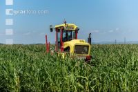 Kids on farms 12