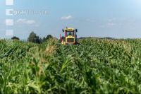 Kinder in der Landwirtschaft 11
