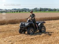 Quad im Gelände 2