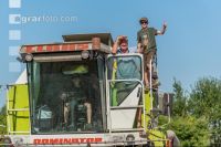 Wheat harvest 256