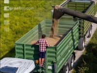 Rye harvest 73