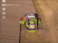 Wheat harvest 235