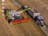 Wheat harvest 232
