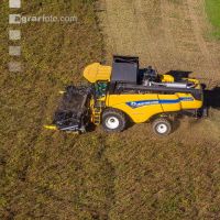 Soya harvest 211