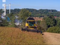 Soya harvest 208
