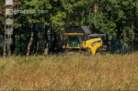 Soya harvest 205