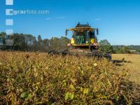 Soya harvest 201