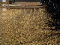 Soya harvest 198
