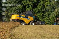 Soya harvest 196