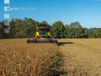 Soya harvest 195