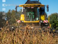 Soya harvest 194