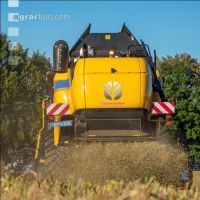 Soya harvest 193