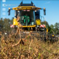 Soya harvest 190