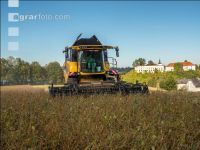 Soya harvest 189