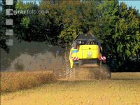 Soya harvest 186