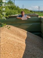 Wheat harvest 228