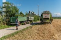 Wheat harvest 220