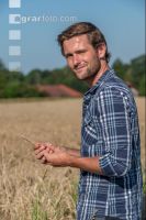 Wheat harvest 214