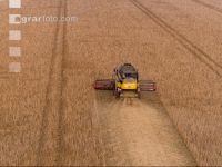 Soya harvest 263