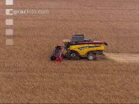 Soya harvest 262