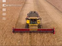 Soya harvest 260