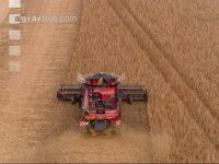 Soya harvest 258