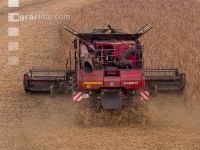 Soya harvest 257