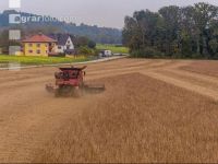 Soya harvest 256