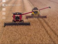 Soya harvest 255
