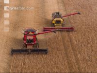 Soya harvest 254
