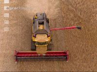 Soya harvest 253
