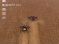 Soya harvest 252