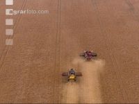 Soya harvest 251