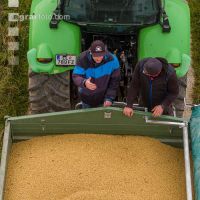 Soya harvest 250