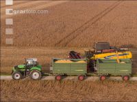 Soya harvest 243