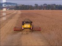 Soya harvest 241