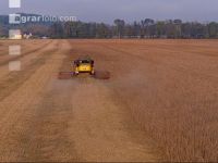 Soya harvest 240