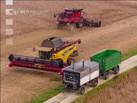 Soya harvest 239