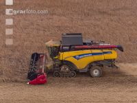 Soya harvest 238