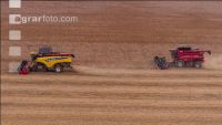 Soya harvest 237